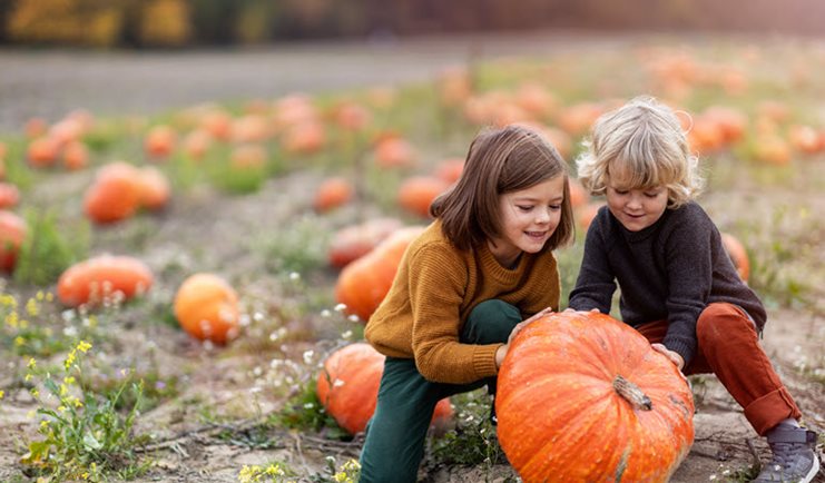 Toddler in a cute non scary Halloween costume with pumpkins